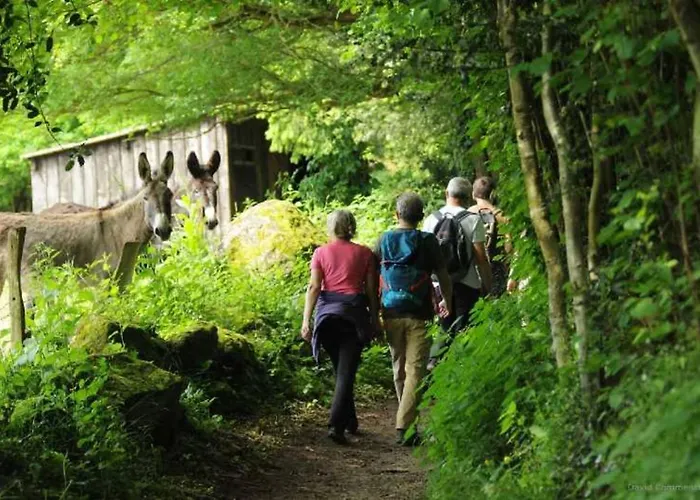 Voyage Du Domaine De La Belle Verte