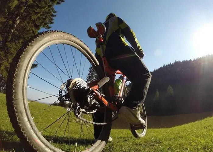 Guest house Voyage Du Domaine De La Belle Verte